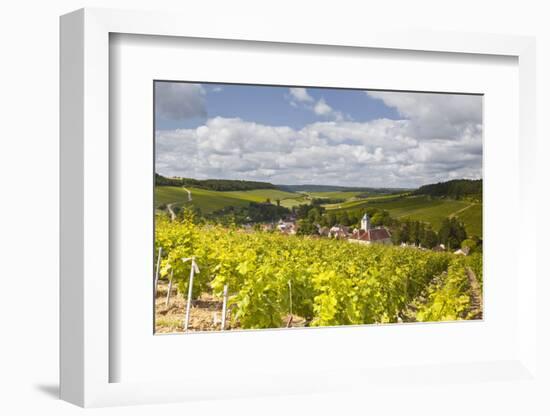 Champagne Vineyards Above the Village of Viviers Sur Artaut-Julian Elliott-Framed Photographic Print