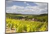 Champagne Vineyards Above the Village of Viviers Sur Artaut-Julian Elliott-Mounted Photographic Print