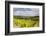 Champagne Vineyards Above the Village of Viviers Sur Artaut-Julian Elliott-Framed Photographic Print