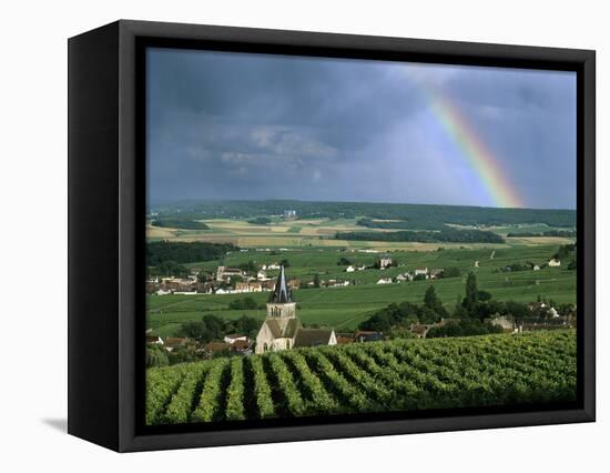 Champagne Vineyards and Rainbow, Ville-Dommange, Near Reims, Champagne, France, Europe-Stuart Black-Framed Premier Image Canvas