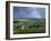 Champagne Vineyards and Rainbow, Ville-Dommange, Near Reims, Champagne, France, Europe-Stuart Black-Framed Photographic Print