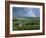 Champagne Vineyards and Rainbow, Ville-Dommange, Near Reims, Champagne, France, Europe-Stuart Black-Framed Photographic Print