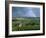 Champagne Vineyards and Rainbow, Ville-Dommange, Near Reims, Champagne, France, Europe-Stuart Black-Framed Photographic Print