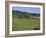 Champagne Vineyards, Hautvillers, Marne Valley, France, Europe-Rolf Richardson-Framed Photographic Print