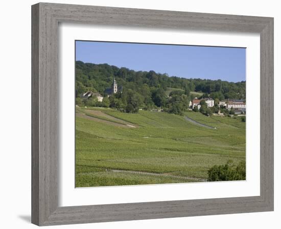 Champagne Vineyards, Hautvillers, Marne Valley, France, Europe-Rolf Richardson-Framed Photographic Print