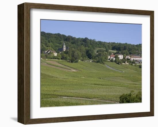 Champagne Vineyards, Hautvillers, Marne Valley, France, Europe-Rolf Richardson-Framed Photographic Print