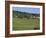 Champagne Vineyards, Hautvillers, Marne Valley, France, Europe-Rolf Richardson-Framed Photographic Print