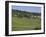 Champagne Vineyards, Hautvillers, Marne Valley, France, Europe-Rolf Richardson-Framed Photographic Print