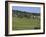 Champagne Vineyards, Hautvillers, Marne Valley, France, Europe-Rolf Richardson-Framed Photographic Print