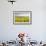 Champagne Vineyards in the Cote Des Bar Area of Aube, Champagne-Ardenne, France, Europe-Julian Elliott-Framed Photographic Print displayed on a wall