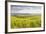 Champagne Vineyards in the Cote Des Bar Area of Aube, Champagne-Ardenne, France, Europe-Julian Elliott-Framed Photographic Print