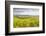 Champagne Vineyards in the Cote Des Bar Area of Aube, Champagne-Ardenne, France, Europe-Julian Elliott-Framed Photographic Print