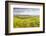 Champagne Vineyards in the Cote Des Bar Area of Aube, Champagne-Ardenne, France, Europe-Julian Elliott-Framed Photographic Print