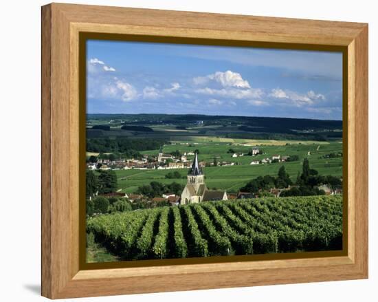 Champagne Vineyards, Ville-Dommange, Near Reims, Champagne, France, Europe-Stuart Black-Framed Premier Image Canvas