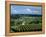 Champagne Vineyards, Ville-Dommange, Near Reims, Champagne, France, Europe-Stuart Black-Framed Premier Image Canvas