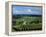 Champagne Vineyards, Ville-Dommange, Near Reims, Champagne, France, Europe-Stuart Black-Framed Premier Image Canvas