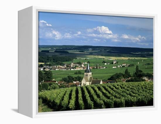 Champagne Vineyards, Ville-Dommange, Near Reims, Champagne, France, Europe-Stuart Black-Framed Premier Image Canvas