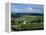 Champagne Vineyards, Ville-Dommange, Near Reims, Champagne, France, Europe-Stuart Black-Framed Premier Image Canvas