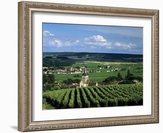 Champagne Vineyards, Ville-Dommange, Near Reims, Champagne, France, Europe-Stuart Black-Framed Photographic Print