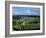 Champagne Vineyards, Ville-Dommange, Near Reims, Champagne, France, Europe-Stuart Black-Framed Photographic Print