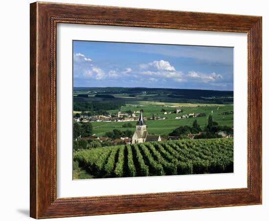 Champagne Vineyards, Ville-Dommange, Near Reims, Champagne, France, Europe-Stuart Black-Framed Photographic Print