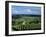 Champagne Vineyards, Ville-Dommange, Near Reims, Champagne, France, Europe-Stuart Black-Framed Photographic Print