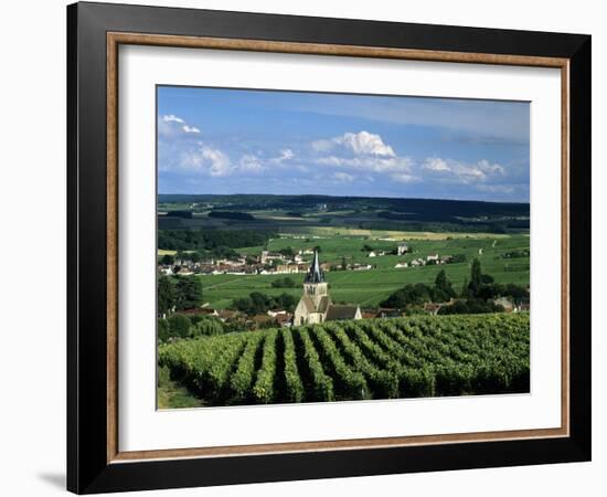 Champagne Vineyards, Ville-Dommange, Near Reims, Champagne, France, Europe-Stuart Black-Framed Photographic Print