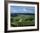 Champagne Vineyards, Ville-Dommange, Near Reims, Champagne, France, Europe-Stuart Black-Framed Photographic Print