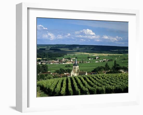 Champagne Vineyards, Ville-Dommange, Near Reims, Champagne, France, Europe-Stuart Black-Framed Photographic Print