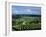 Champagne Vineyards, Ville-Dommange, Near Reims, Champagne, France, Europe-Stuart Black-Framed Photographic Print