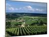 Champagne Vineyards, Ville-Dommange, Near Reims, Champagne, France, Europe-Stuart Black-Mounted Photographic Print