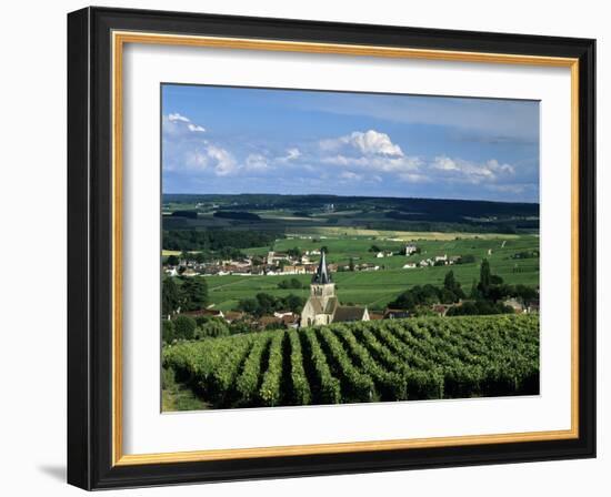 Champagne Vineyards, Ville-Dommange, Near Reims, Champagne, France, Europe-Stuart Black-Framed Photographic Print