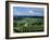 Champagne Vineyards, Ville-Dommange, Near Reims, Champagne, France, Europe-Stuart Black-Framed Photographic Print