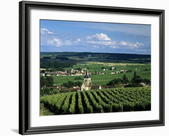 Champagne Vineyards, Ville-Dommange, Near Reims, Champagne, France, Europe-Stuart Black-Framed Photographic Print