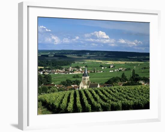 Champagne Vineyards, Ville-Dommange, Near Reims, Champagne, France, Europe-Stuart Black-Framed Photographic Print