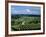 Champagne Vineyards, Ville-Dommange, Near Reims, Champagne, France, Europe-Stuart Black-Framed Photographic Print