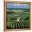 Champagne Vineyards, Ville-Dommange, Near Reims, Champagne, France, Europe-Stuart Black-Framed Premier Image Canvas