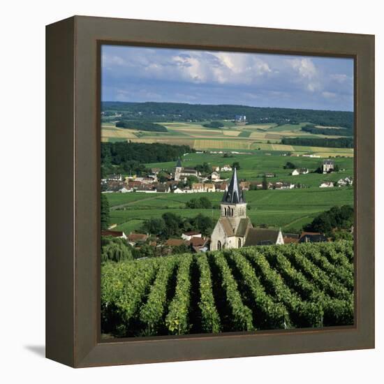 Champagne Vineyards, Ville-Dommange, Near Reims, Champagne, France, Europe-Stuart Black-Framed Premier Image Canvas