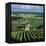 Champagne Vineyards, Ville-Dommange, Near Reims, Champagne, France, Europe-Stuart Black-Framed Premier Image Canvas