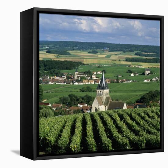 Champagne Vineyards, Ville-Dommange, Near Reims, Champagne, France, Europe-Stuart Black-Framed Premier Image Canvas