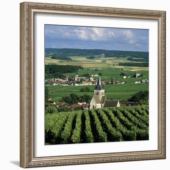 Champagne Vineyards, Ville-Dommange, Near Reims, Champagne, France, Europe-Stuart Black-Framed Photographic Print