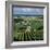 Champagne Vineyards, Ville-Dommange, Near Reims, Champagne, France, Europe-Stuart Black-Framed Photographic Print