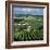 Champagne Vineyards, Ville-Dommange, Near Reims, Champagne, France, Europe-Stuart Black-Framed Photographic Print