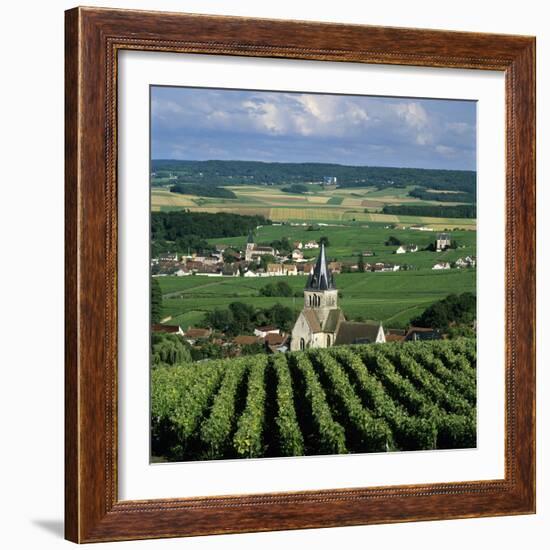 Champagne Vineyards, Ville-Dommange, Near Reims, Champagne, France, Europe-Stuart Black-Framed Photographic Print