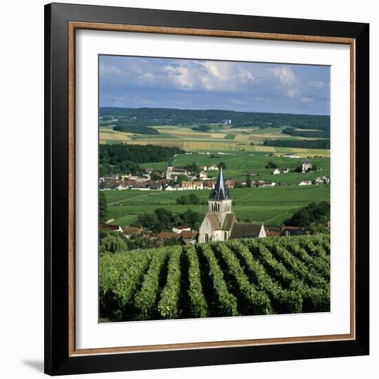 Champagne Vineyards, Ville-Dommange, Near Reims, Champagne, France, Europe-Stuart Black-Framed Photographic Print