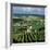 Champagne Vineyards, Ville-Dommange, Near Reims, Champagne, France, Europe-Stuart Black-Framed Photographic Print