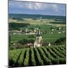 Champagne Vineyards, Ville-Dommange, Near Reims, Champagne, France, Europe-Stuart Black-Mounted Photographic Print