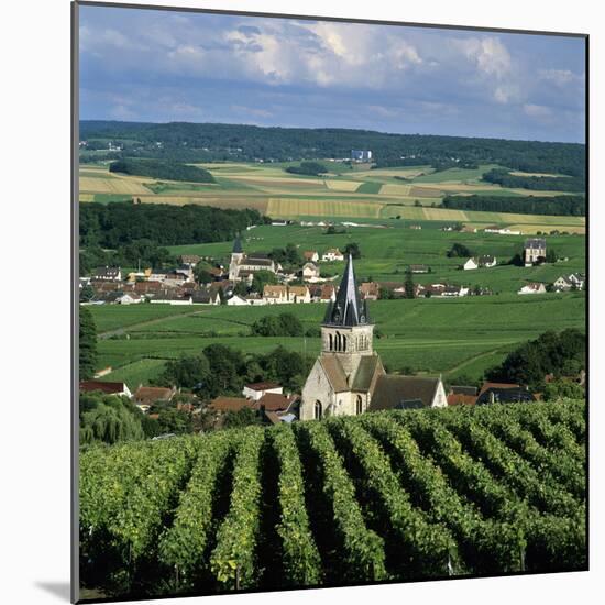 Champagne Vineyards, Ville-Dommange, Near Reims, Champagne, France, Europe-Stuart Black-Mounted Photographic Print