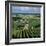 Champagne Vineyards, Ville-Dommange, Near Reims, Champagne, France, Europe-Stuart Black-Framed Photographic Print