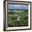 Champagne Vineyards, Ville-Dommange, Near Reims, Champagne, France, Europe-Stuart Black-Framed Photographic Print